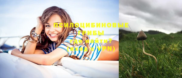 спайс Майский